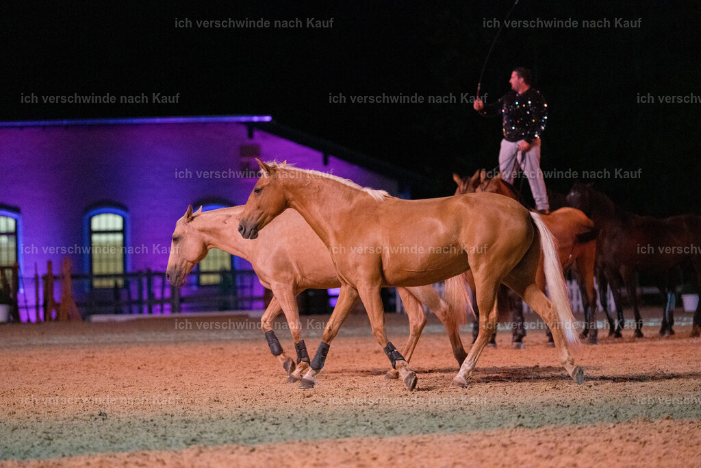 Gala-380 | working equitationturnier fotograf videograf stoibphotography marixx film working equitation deutschland reitsport turnierfotografie eventfotografie equestrian events