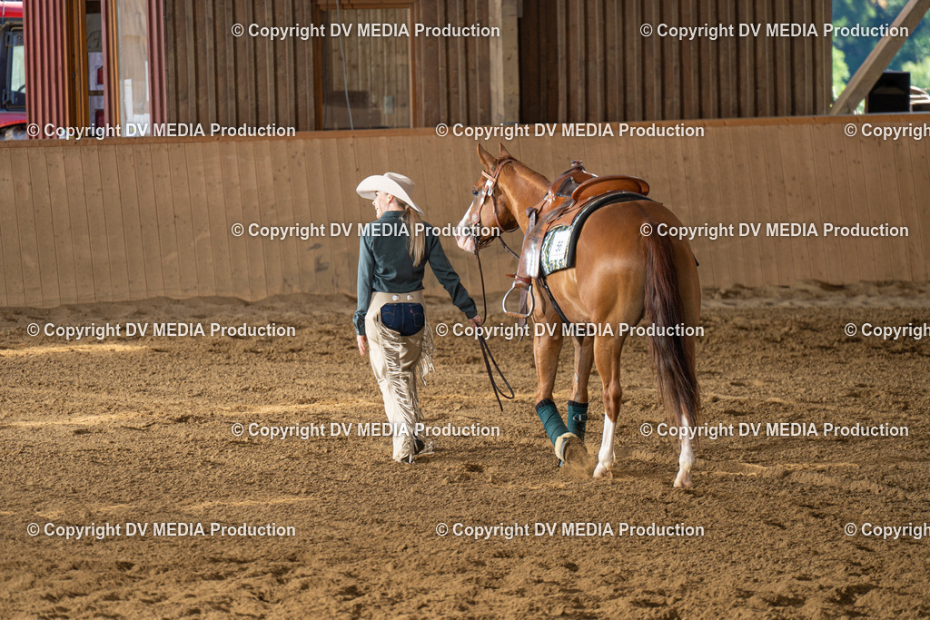 DSC00084 | dv-media-shop - Realisiert mit Pictrs.com