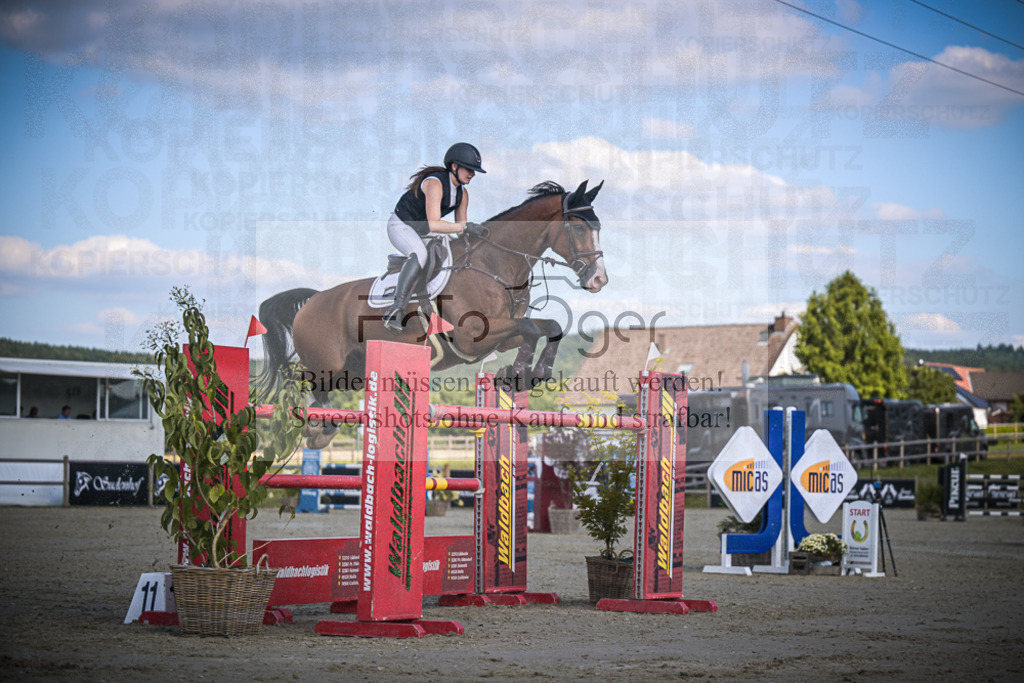 DOS_0217 | Entdecke hochwertige Reitturnierfotos von Foto Oger. Professionell, emotional und authentisch – jetzt Lieblingsmomente im Shop bestellen.Deutschlandweite Turnierfotografie. - Realisiert mit Pictrs.com