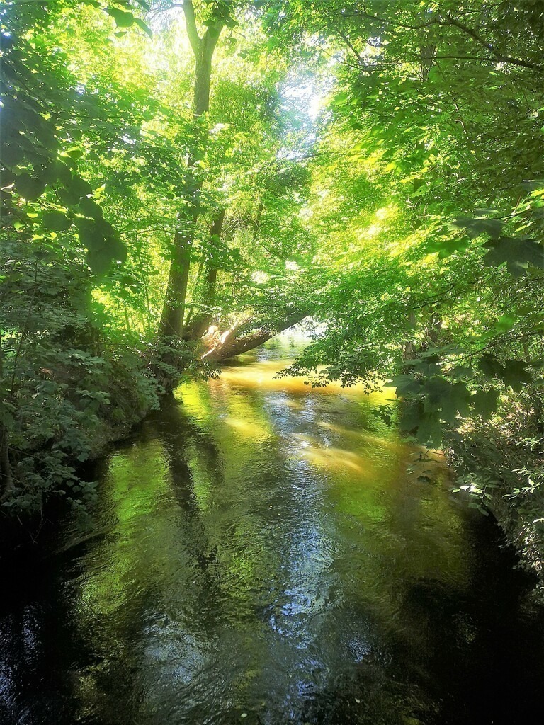 green river  hidden place | Künstler/in Member of AKM/austromechana. Troubadour. 2026 a fascinating journey began with Tatjana my AI muse✨ METISSIREN set sails and left the harbor ⛵