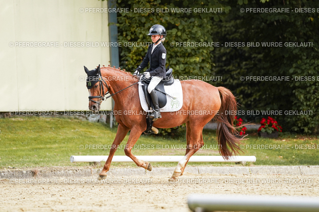 DSC04904 | Pferdegrafie