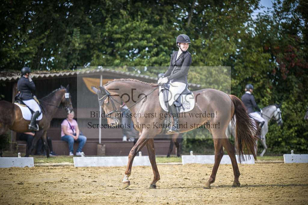 DOS_6876 | Entdecke hochwertige Reitturnierfotos von Foto Oger. Professionell, emotional und authentisch – jetzt Lieblingsmomente im Shop bestellen.Deutschlandweite Turnierfotografie. - Realisiert mit Pictrs.com