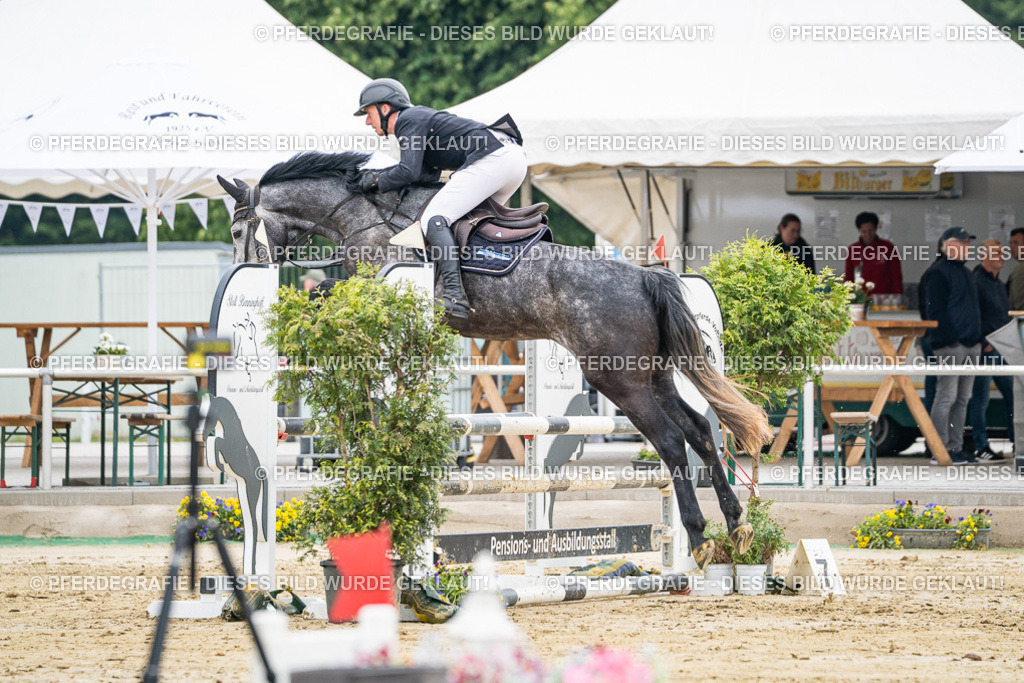 DSC00002 | Pferdegrafie