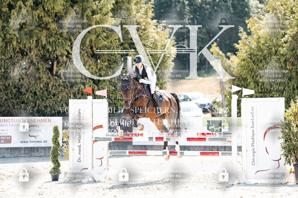 CK909121 | Turnierfotografie Pferdefotografie Trier Rheinland-Pfalz Pferdesport Reitsport Tierfotografie Sportfotografie Pferdevideo Pferdevideografie Equestrianvideography equestrianphotography  - Realisiert mit Pictrs.com