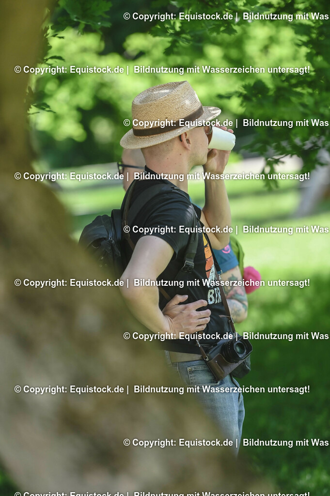 D78_2924 | equistock