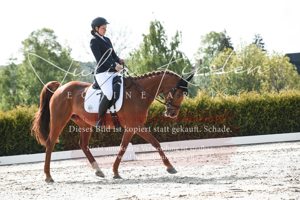 20230518_JK-Röhrsdorf-09-1181 | Pferde- und Turnierfotografie in Westsachsen. Pferdeportraits, Auftragszeichnungen und intuitive Kunst.