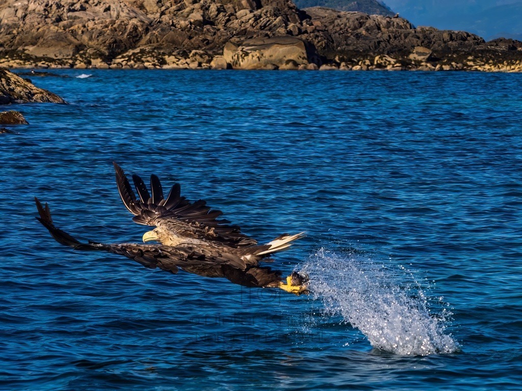 P1001621-LR-topaz-denoise-enhance | Natur im Moment - Realisiert mit Pictrs.com