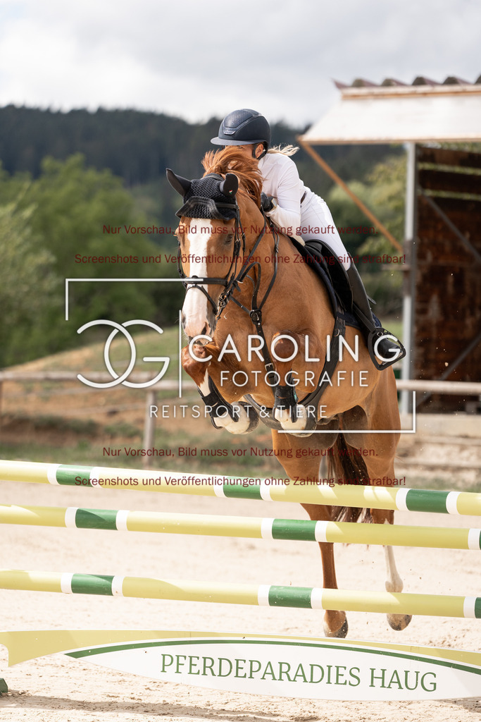 DSC06421 | Springturnier_Teamchallege_Talheim_2026, Clarissa_Schwär, Cascasall_2