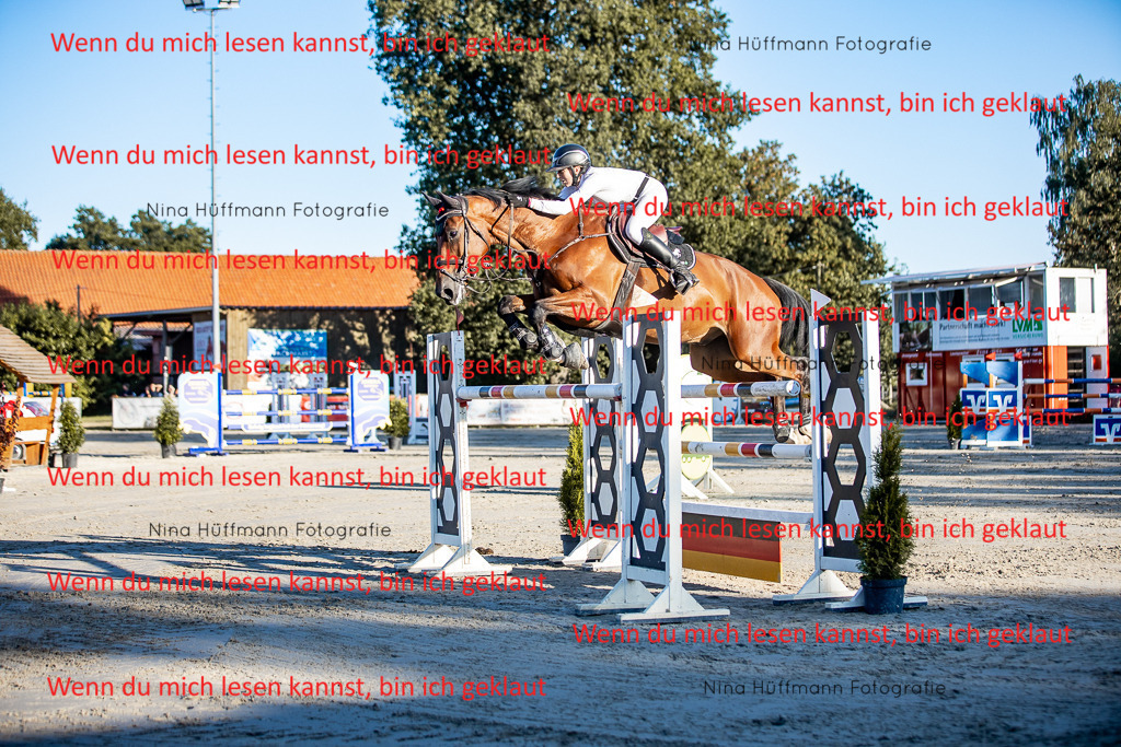 BK1A8451 | Turnierbilder Turnierfotos Nina Hüffmann Turnierfotografie Pferdefotografie Tierzeichnung Haustierzeichnung Pferdezeichnung Hundezeichnung Videograf  - Realisiert mit Pictrs.com