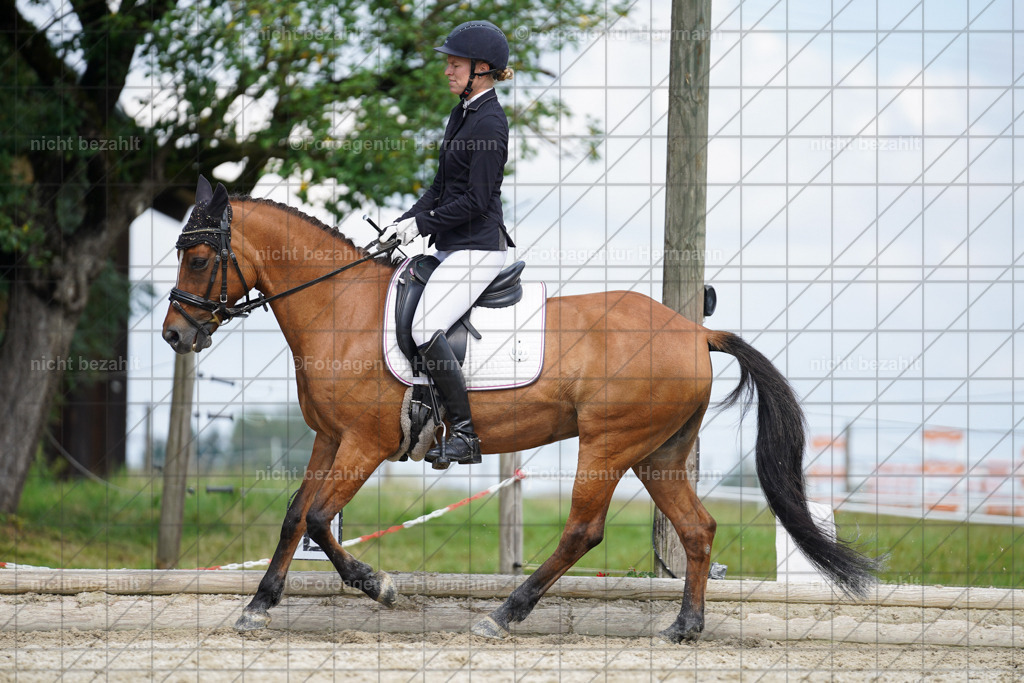 20230826-FAH05411 | Forstinning, 2023, Dressurturnier, Turniersportbilder, Turnierfotografen Bayern, Fotoagentur Herrmann, Reitsportfotografie, Turnierbilder