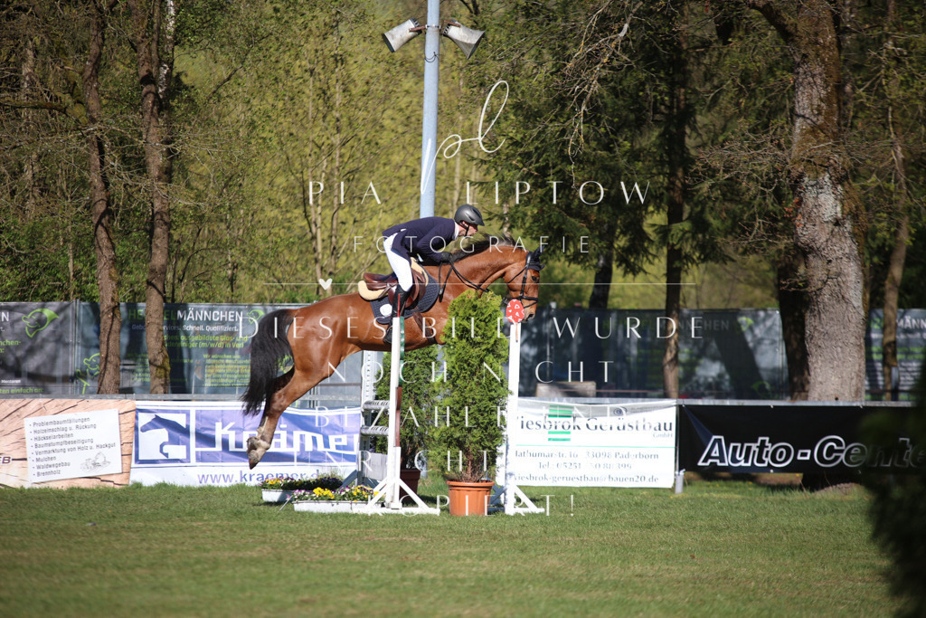 IMGT0200 | pl-fotografie