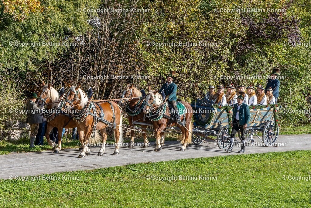 LBT24-291 | foto-bettina-krinner - Realisiert mit Pictrs.com