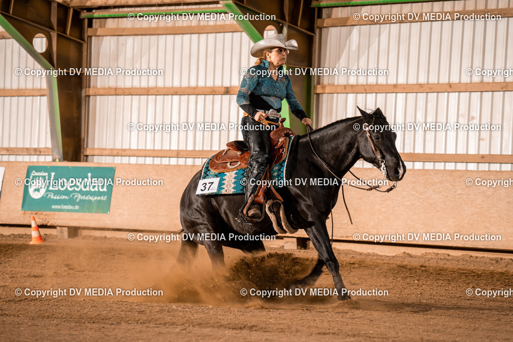 BA301183 | dv-media-shop - Realisiert mit Pictrs.com