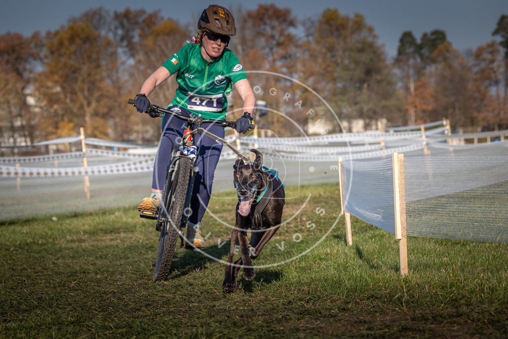 CaniXpix_0L8A4594 | Hundefotografie, Tierfotograf, Pfotenfotografie, Fotoshooting Hund, Hunde Portrait, Hundesport, Hundeportraits, Heideshooting, Hunde, Sportfotograf, Hundefotograf, Turnierhundsport, THS,  - Realisiert mit Pictrs.com