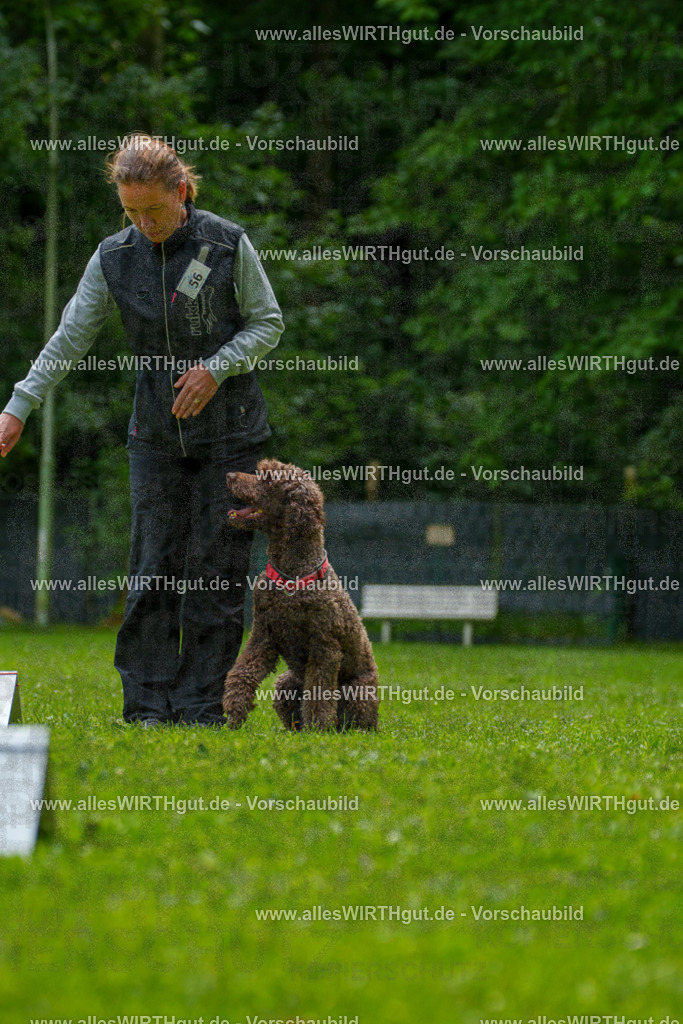 @allesWIRTHgut_Tierfotografie - www.allesWIRTHgut.de - 7R501107 | Professionelle Tierfotografie in Mönchengladbach von Daniel Wirth (allesWIRTHgut). Liebevolle & natürliche Bilder von Hunden & Katzen für unvergessliche Erinnerungen.
