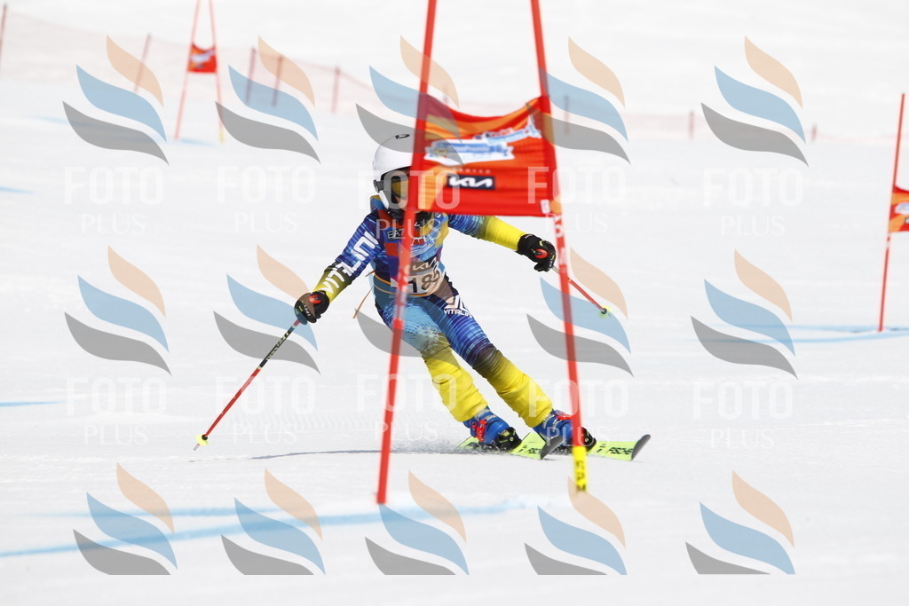 _U3G4856 | holidayphoto