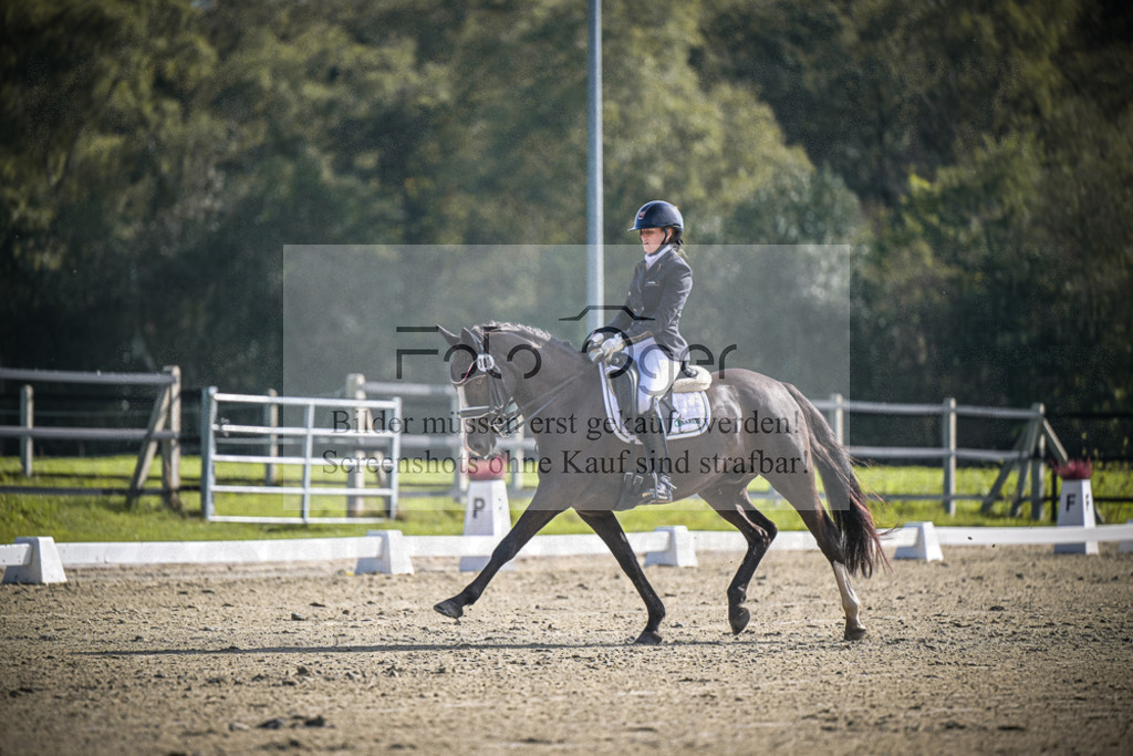 DOS_0713 | Entdecke hochwertige Reitturnierfotos von Foto Oger. Professionell, emotional und authentisch – jetzt Lieblingsmomente im Shop bestellen.Deutschlandweite Turnierfotografie. - Realisiert mit Pictrs.com