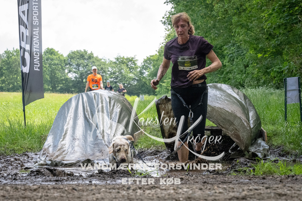 1144_ZZ94278 | kk-dogfotos