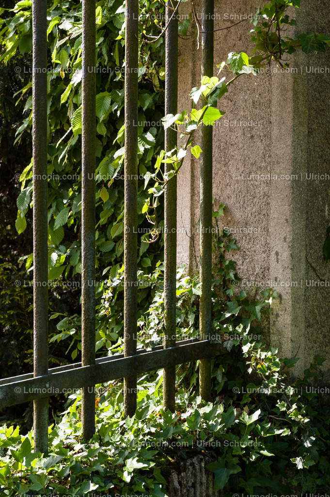 10049-1612 - Stadtpark Tangerhütte | Stockfoto und Bilderpool mit Bildmaterial aus Deutschland, dem Harz, Halberstadt, Quedlinburg, Wernigerode und weltweit. Qualitativ hochwertige und professionelle Fotos anschauen und kaufen. - Realisiert mit Pictrs.com