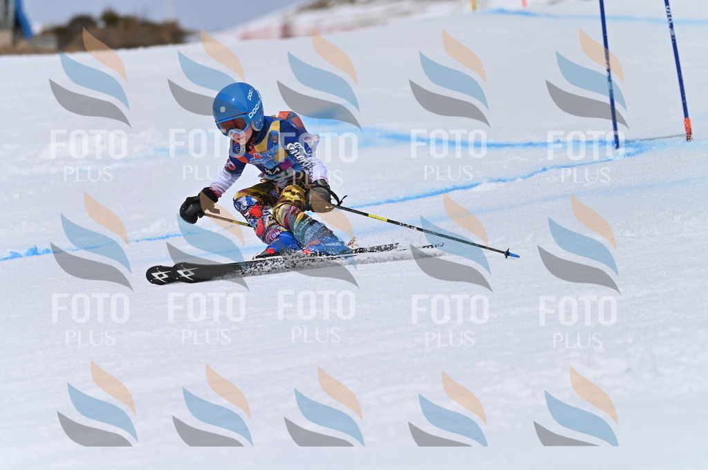 BGV_3640 | holidayphoto