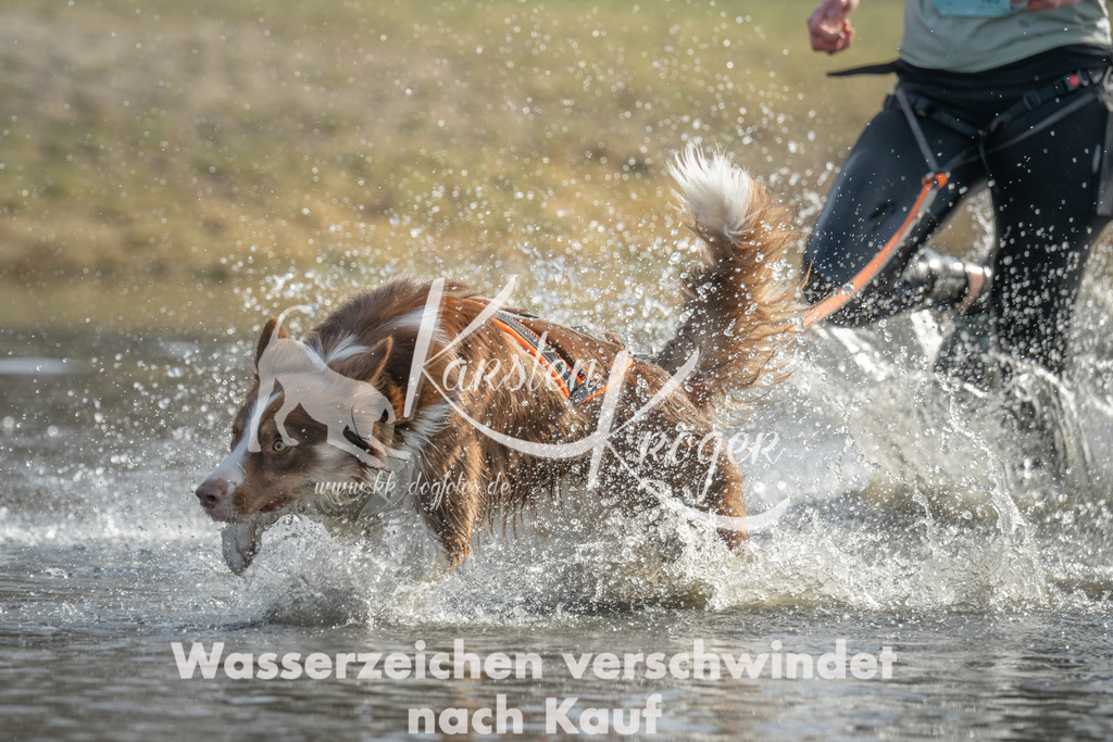 1021_ZZ97026 | kk-dogfotos