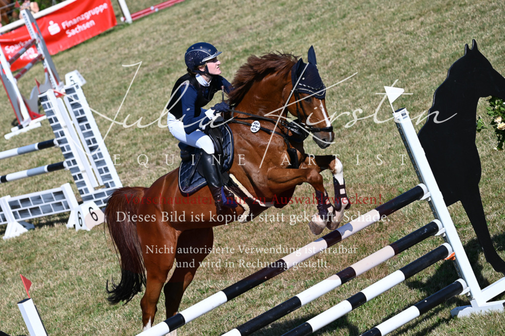 DSC_2326 | Pferde- und Turnierfotografie in Westsachsen. Pferdeportraits, Auftragszeichnungen und intuitive Kunst.