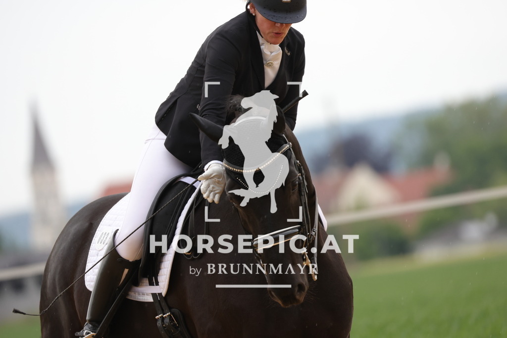 0P6A4783 | Willkommen bei Brunnmayr - Design & Fotografie – Ihrem Spezialisten für Reitturniere und Pferdeveranstaltungen in Oberösterreich, Salzburg und Bayern! Seit über 17 Jahren sind wir leidenschaftlich dabei.