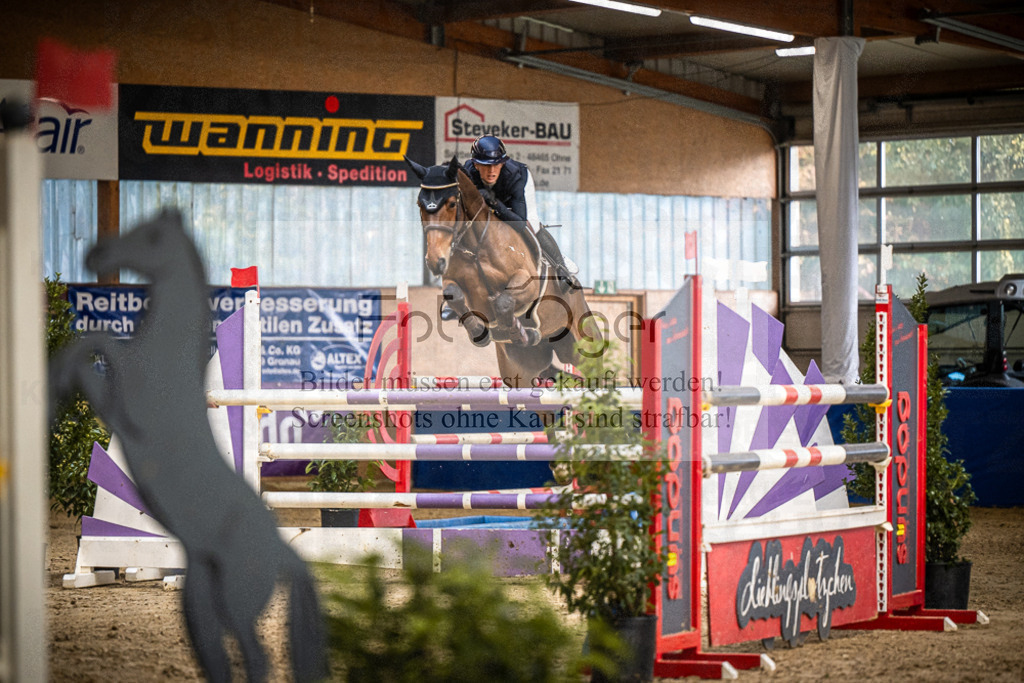 DOS_1872 | Entdecke hochwertige Reitturnierfotos von Foto Oger. Professionell, emotional und authentisch – jetzt Lieblingsmomente im Shop bestellen.Deutschlandweite Turnierfotografie. - Realisiert mit Pictrs.com