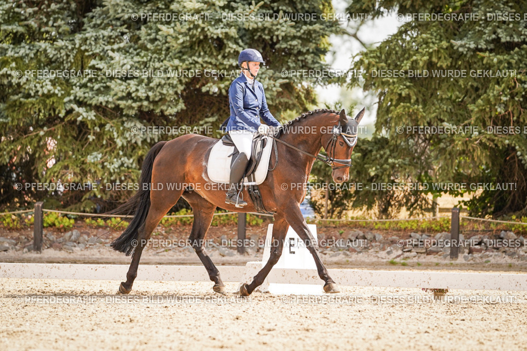 DSC01428 | Pferdegrafie