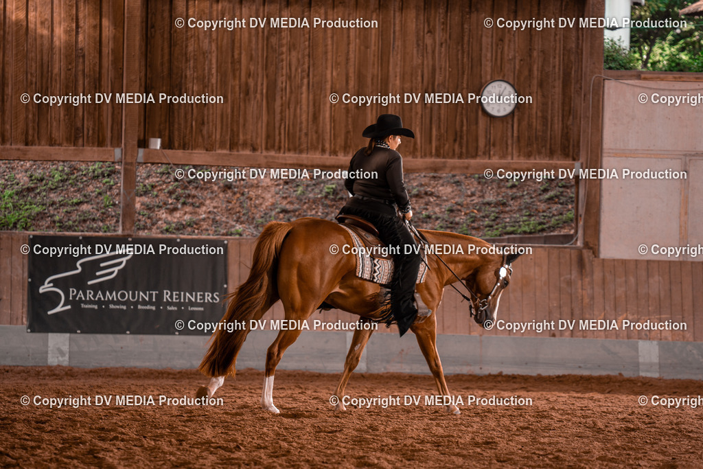 NE200156 | dv-media-shop - Realisiert mit Pictrs.com