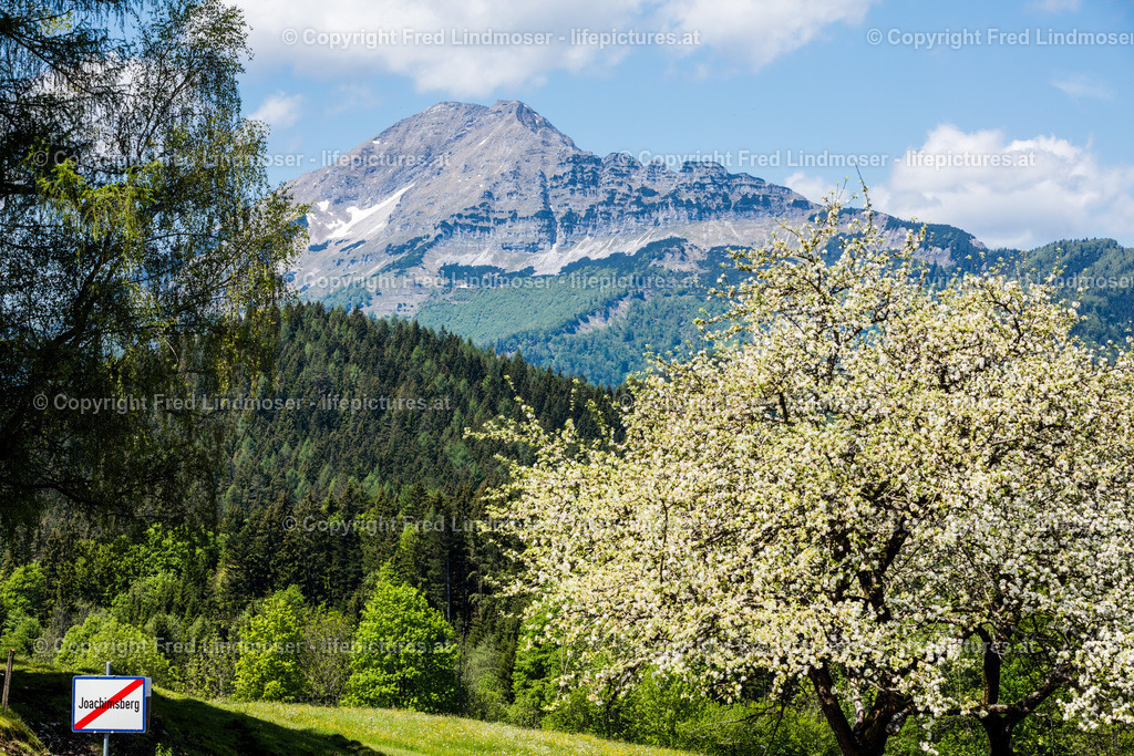 Otscher  (2) | Fotos und Fotoprodukte - Realisiert mit Pictrs.com