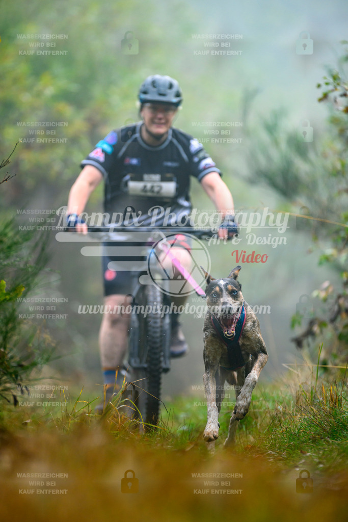 MompixPhotography_20TSB_E4_Bike-143 | PayLife