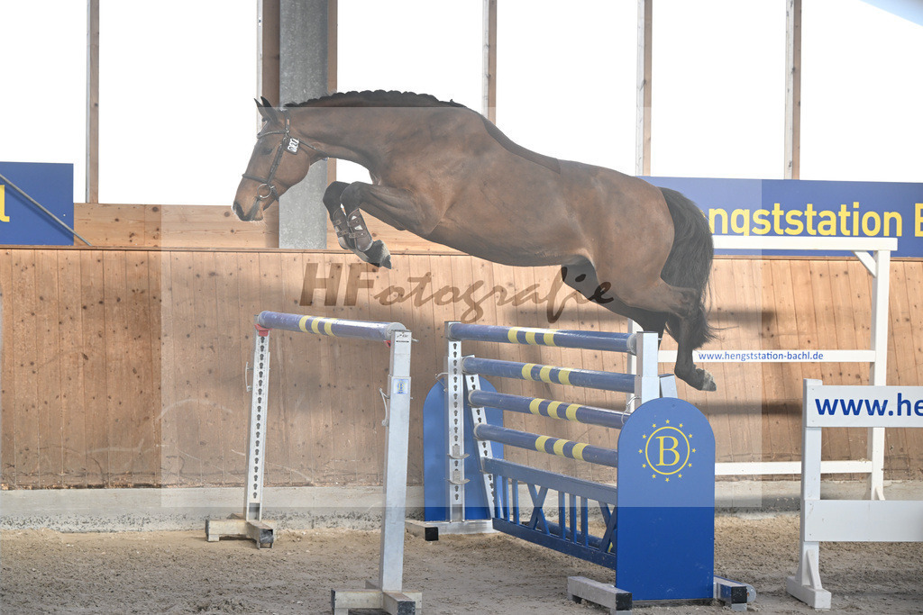 Kat-Nr. 28 Vintl B v. Vigaro_Rau_14262029 | hf-fotografie - Realisiert mit Pictrs.com