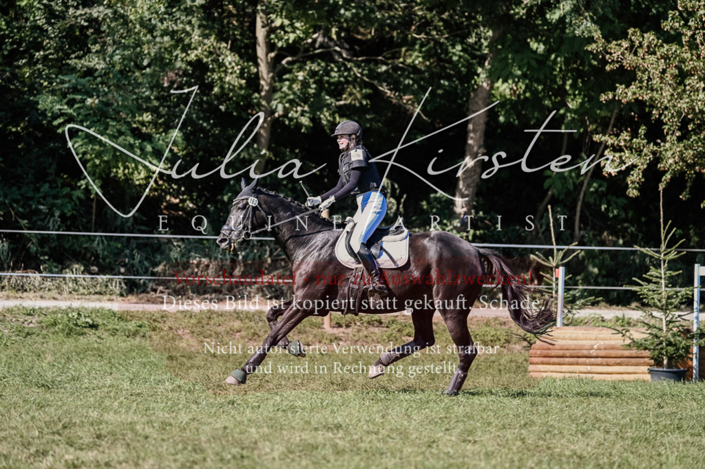 DSC_3523 | Pferde- und Turnierfotografie in Westsachsen. Pferdeportraits, Auftragszeichnungen und intuitive Kunst.
