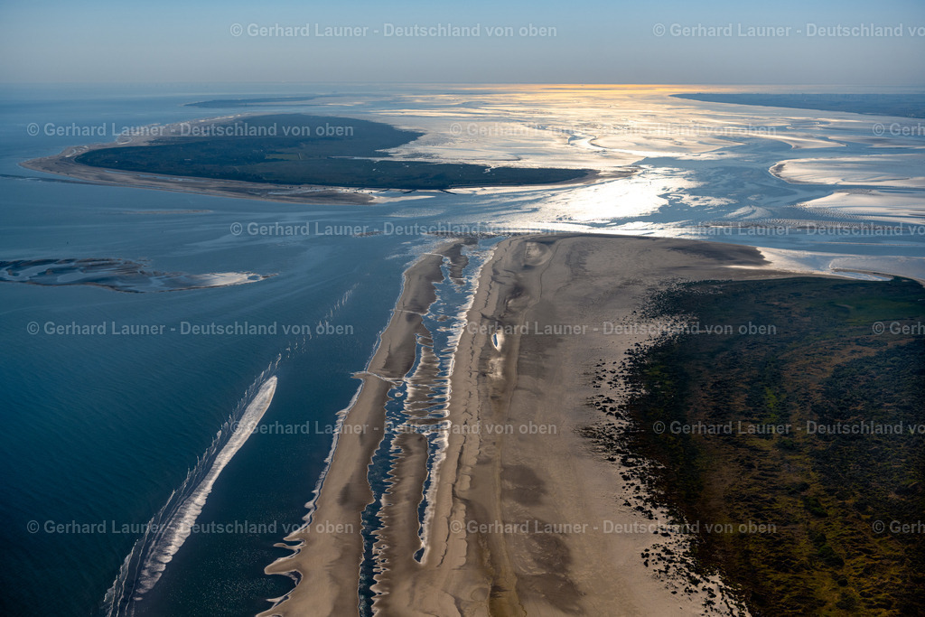 4037049 | Ostende, Langeoog