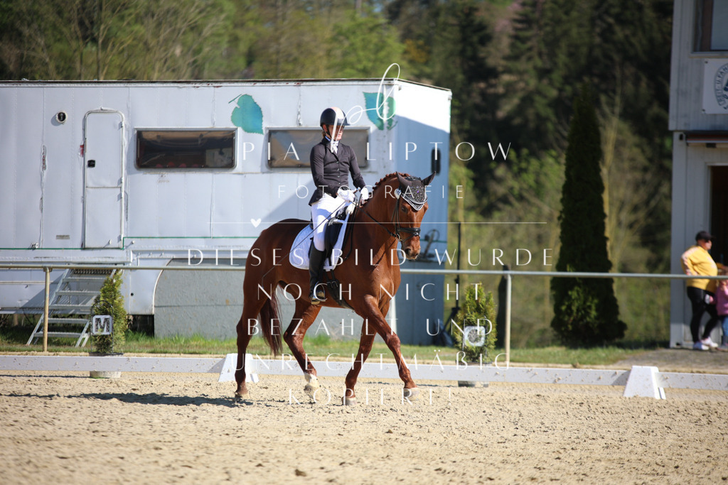 IMGT8689 | pl-fotografie