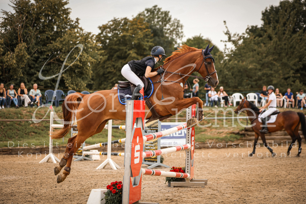 31.SaSpM00111 | Leoni Ertmer Photography - Realisiert mit Pictrs.com