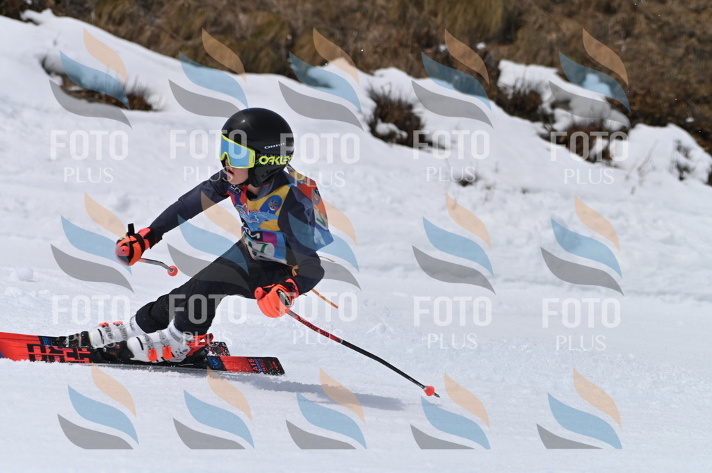 BGV_4242 | holidayphoto