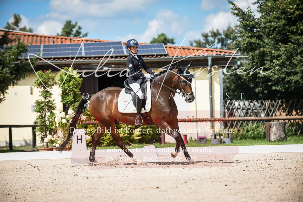 DSC_9420 | Pferde- und Turnierfotografie in Westsachsen. Pferdeportraits, Auftragszeichnungen und intuitive Kunst.