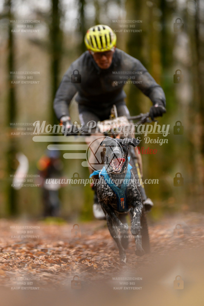 MompixPhotography_Habay2024_SA_Bike-22 | mompixphotography