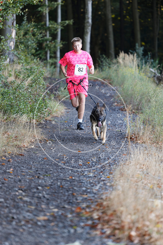 0L8A2090 | Hundefotografie, Tierfotograf, Pfotenfotografie, Fotoshooting Hund, Hunde Portrait, Hundesport, Hundeportraits, Heideshooting, Hunde, Sportfotograf, Hundefotograf, Turnierhundsport, THS,  - Realisiert mit Pictrs.com
