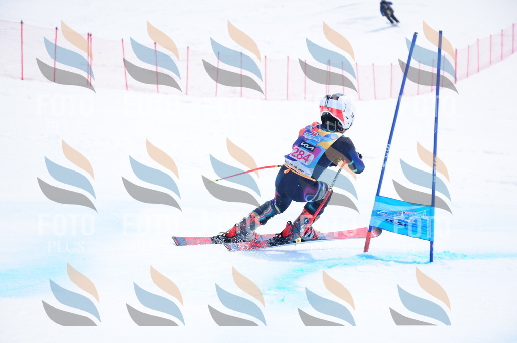 DSC_6527 | holidayphoto