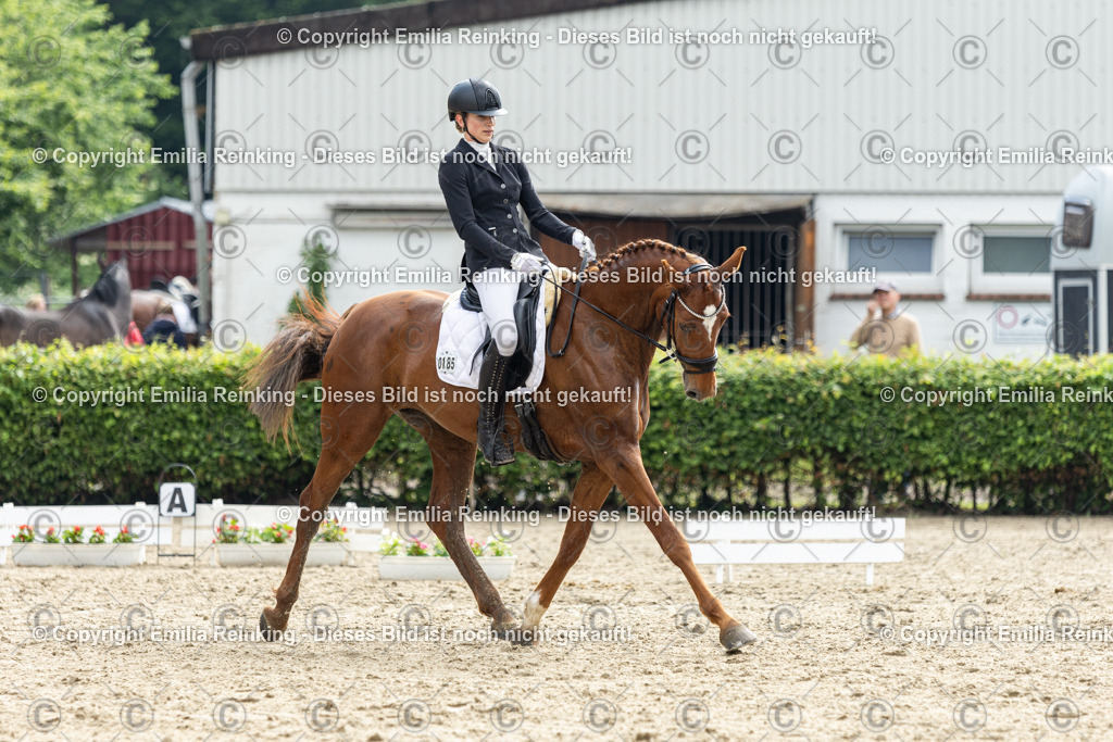 CL5A4546 | Emilia Reinking Fotografie - Realisiert mit Pictrs.com