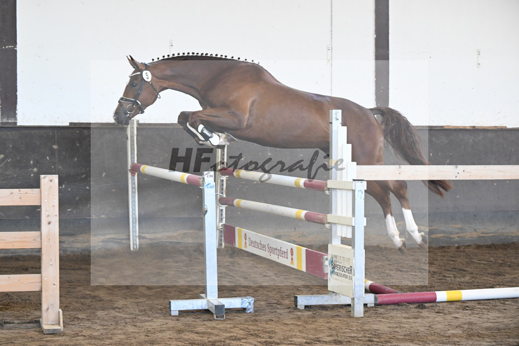 Kat-Nr. 5 Lucille H v. Diro_Haarmann_19250035 | hf-fotografie - Realizzato con Pictrs.com