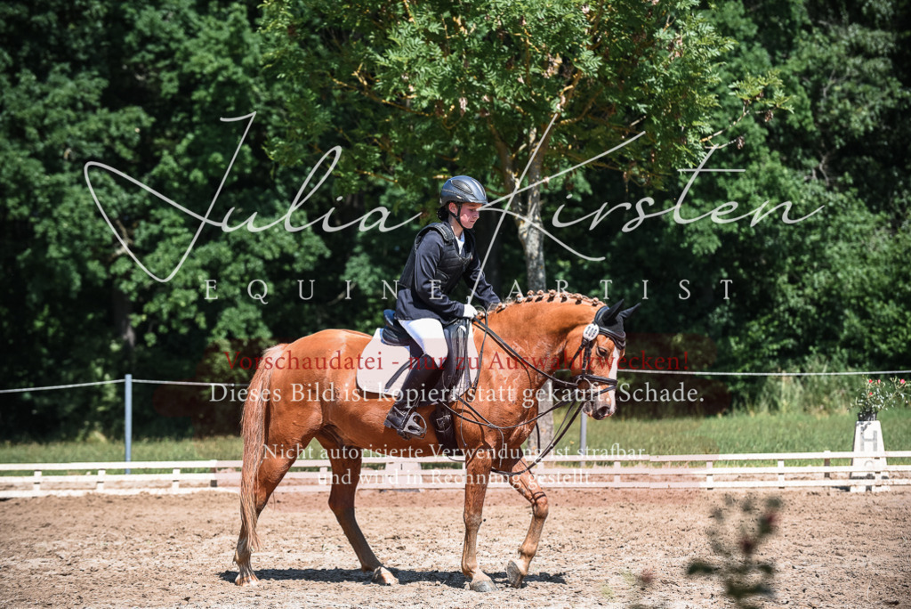 DSC_3292 | Pferde- und Turnierfotografie in Westsachsen. Pferdeportraits, Auftragszeichnungen und intuitive Kunst.