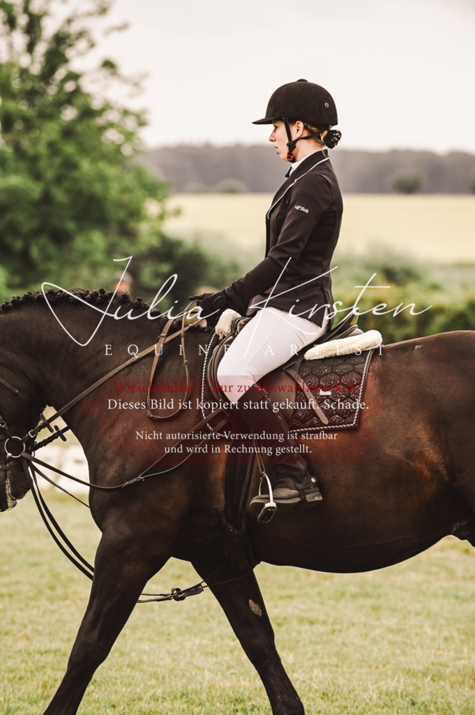 DSC_5012 | Pferde- und Turnierfotografie in Westsachsen. Pferdeportraits, Auftragszeichnungen und intuitive Kunst.