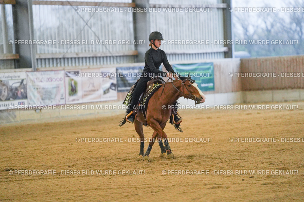 DSC09472 | Pferdegrafie