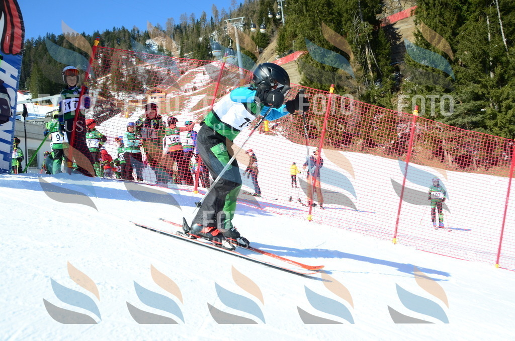 C5554 | holidayphoto