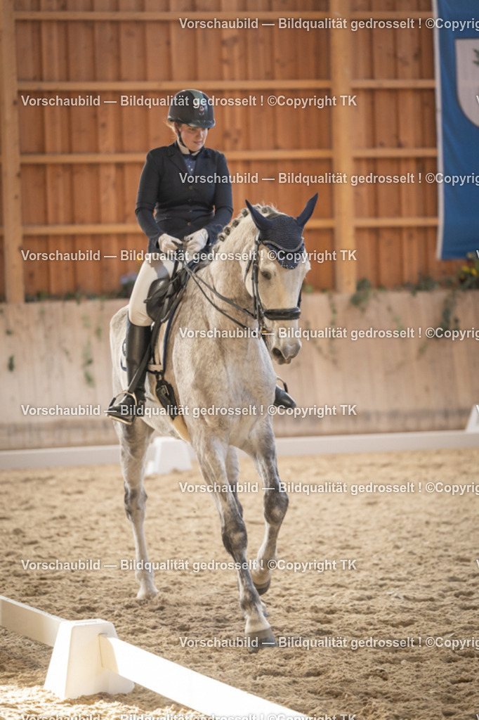 _D5A3321 | Emotionale Pferde- & People-Fotografie rund um Heidelberg, Leimen & Umgebung. Natürliche Fotos von Pferd, Mensch & Familie. Jetzt Termin sichern!