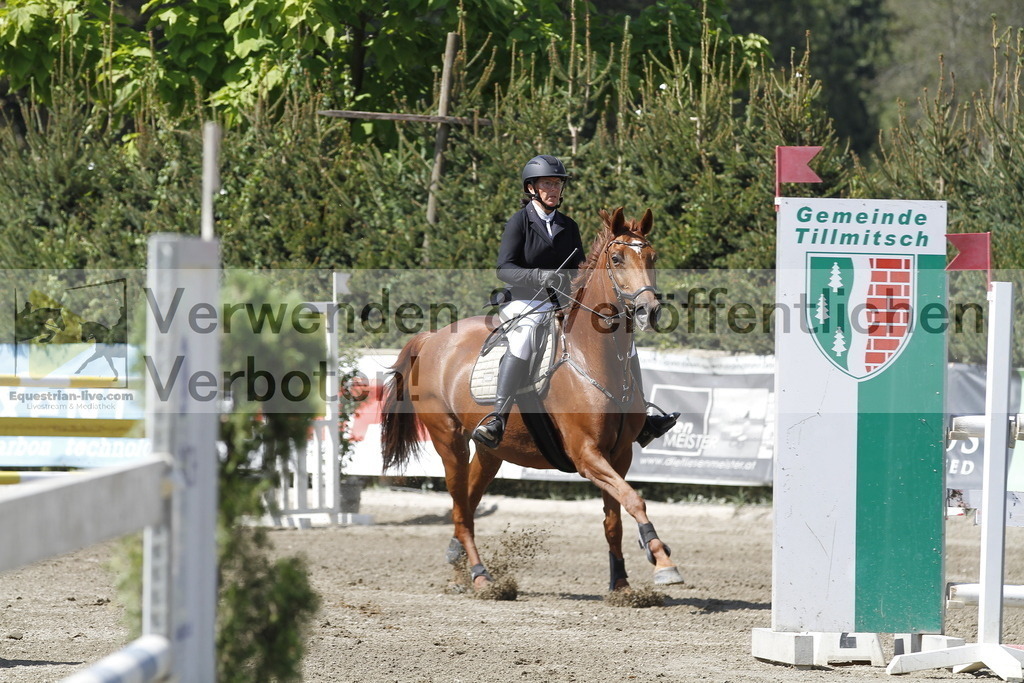 _MG_6366 | equestrian-live-com